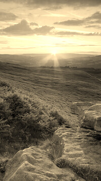 Sepia