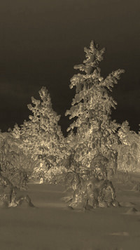 Sepia + Negatyw