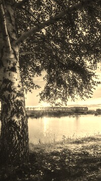 Szary + Sepia