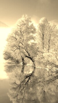 Szary + Sepia