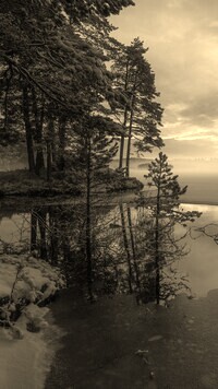 Sepia