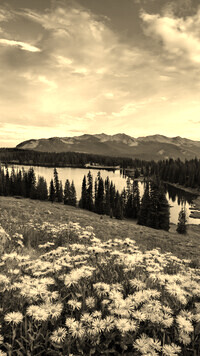 Sepia