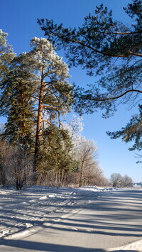 Oryginalny obrazek