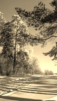 Sepia
