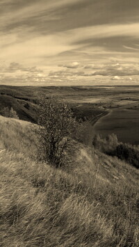 Szary + Sepia