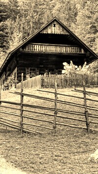 Szary + Sepia