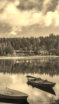 Szary + Sepia