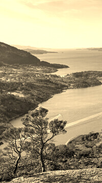 Sepia