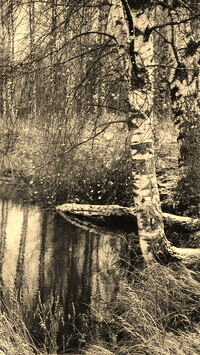 Sepia