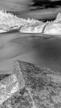 Szary + Negatyw