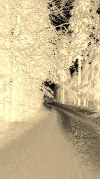Sepia + Negatyw