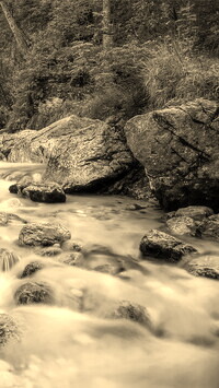 Sepia