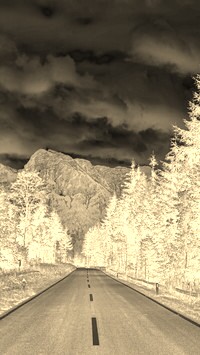 Sepia + Negatyw