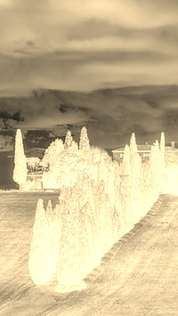 Sepia + Negatyw
