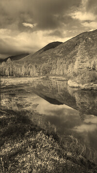 Sepia