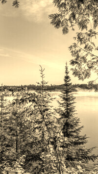 Szary + Sepia
