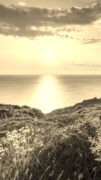 Sepia