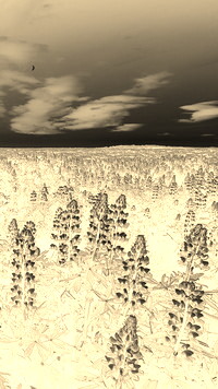 Sepia + Negatyw