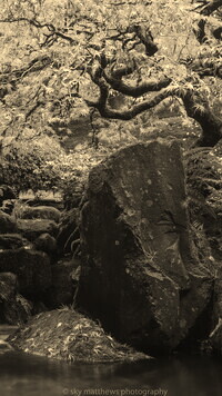 Szary + Sepia