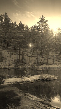 Sepia