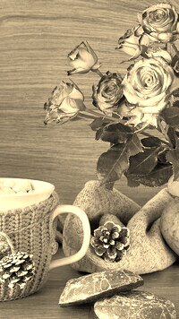 Szary + Sepia