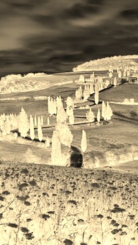 Sepia + Negatyw
