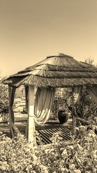 Szary + Sepia