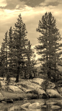Szary + Sepia