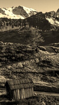 Sepia