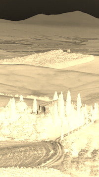 Sepia + Negatyw