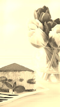 Szary + Sepia