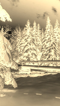 Sepia + Negatyw