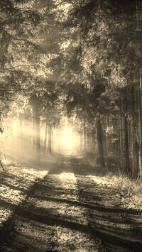 Szary + Sepia