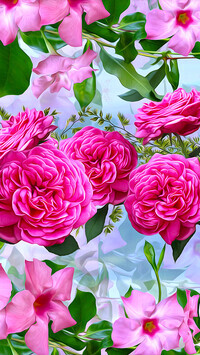 Oryginalny obrazek