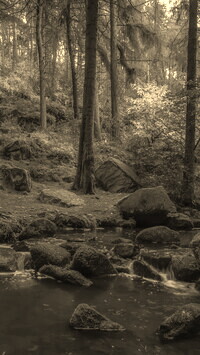 Szary + Sepia