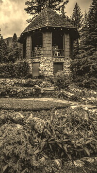 Szary + Sepia