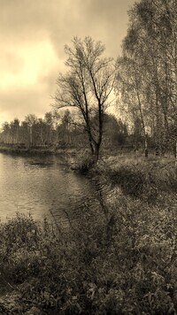 Sepia