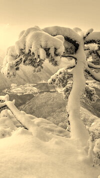 Szary + Sepia