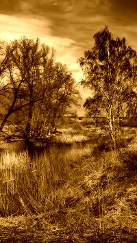 Sepia
