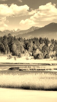Szary + Sepia