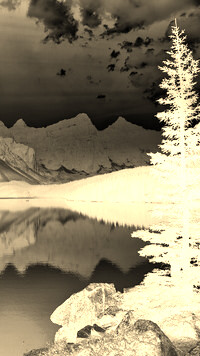 Sepia + Negatyw