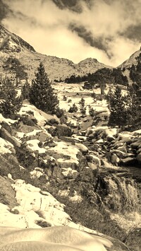 Szary + Sepia
