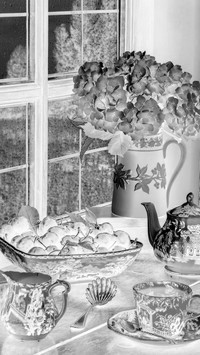 Szary + Negatyw
