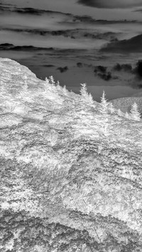 Szary + Negatyw