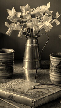 Szary + Sepia