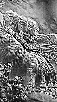 Skamielina
