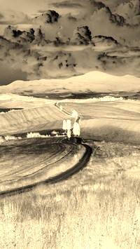Sepia + Negatyw