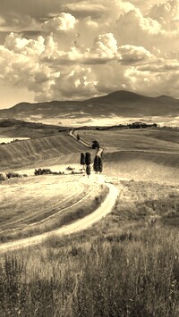Szary + Sepia