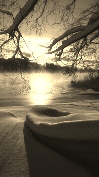 Szary + Sepia