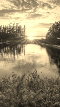 Szary + Sepia